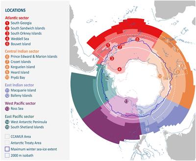 Southern Ocean Food Web Modelling: Progress, Prognoses, and Future Priorities for Research and Policy Makers